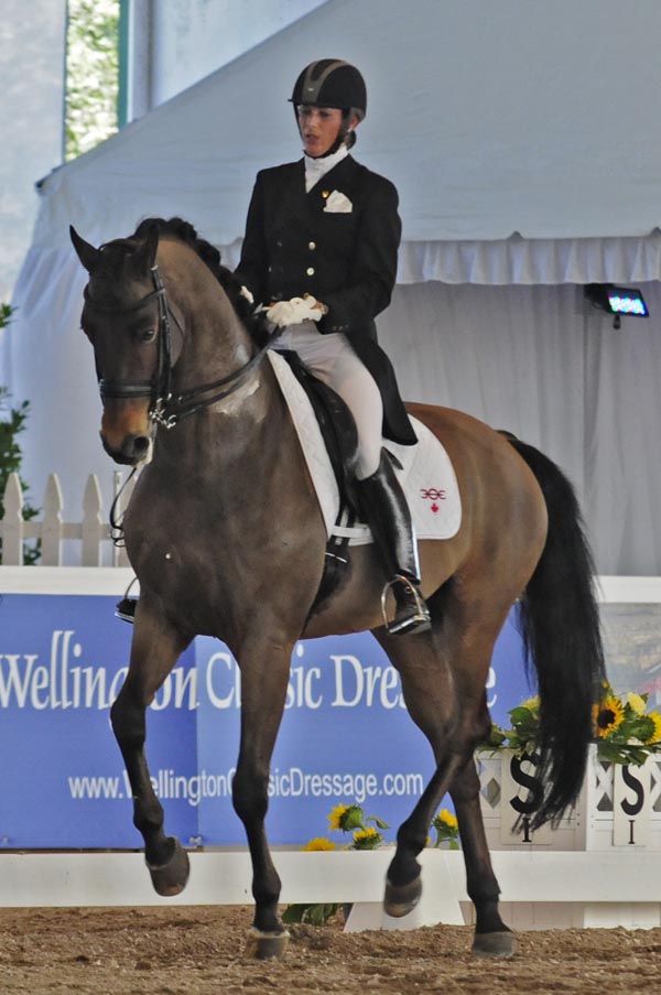 Cheryl Meisner and  Tango took fourth in the Grand Prix Special CDI5*.  Photo by Shelley Higgins/MacMillan Photography