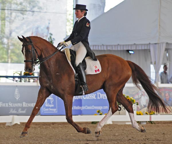 Diane Creech competed in the CDI5* division on Devon L. Photo by Shelley Higgins/MacMillan Photography