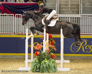 Jordan MacPherson of Toronto claimed the 2013 National Talent Squad Series Championship in front of a hometown crowd at the Royal Horse Show. Photo by Cealy Tetley.