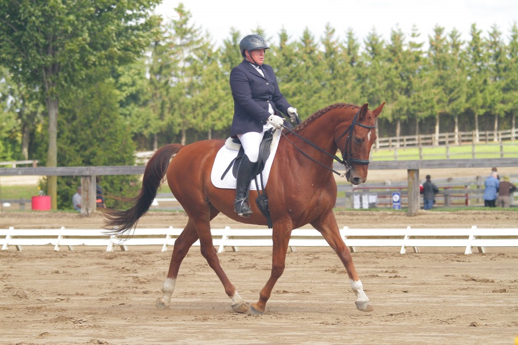 MH Lessard showed her horse, Dreitag Japaloupe, at the CADORA Western Ontario Silver Dressage Championships on Sept. 21. Photo by Jaye Tatone Photography. 