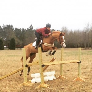 Miss Fancy learning how to jump.