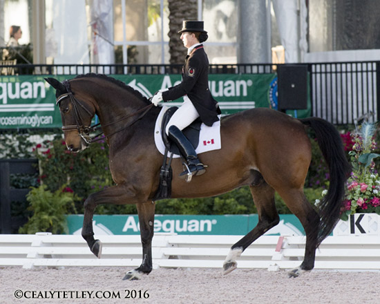 Canadian Olympian Belinda Trussell of Stouffville, ON and her long-time partner, Anton, earned top finishes at the CDI 5* FEI Grand Prix level during week five of the Adequan Global Dressage Festival, held Feb. 10-14 in Wellington, FL. Photo by © Cealy Tetley - www.tetleyphoto.com