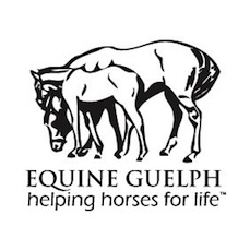 Equine Guelph