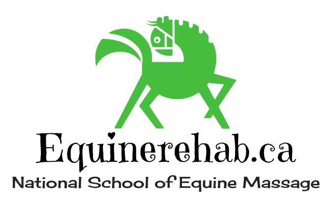 The School of Equine Massage and Rehabilitation Therapies