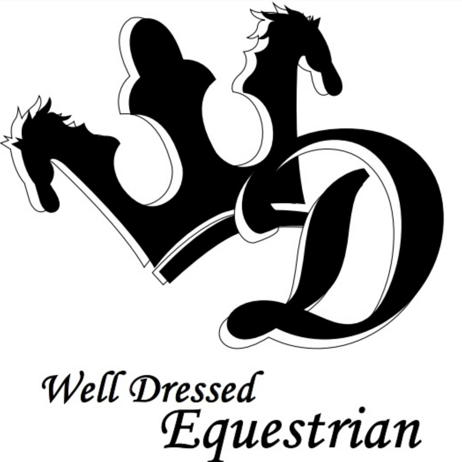 Well Dressed Equestrian