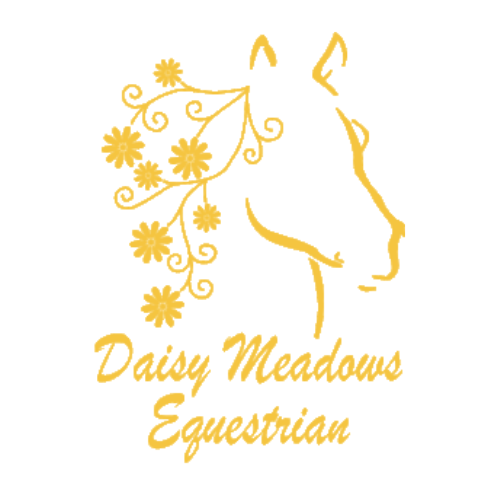 Daisy Meadows Equestrian