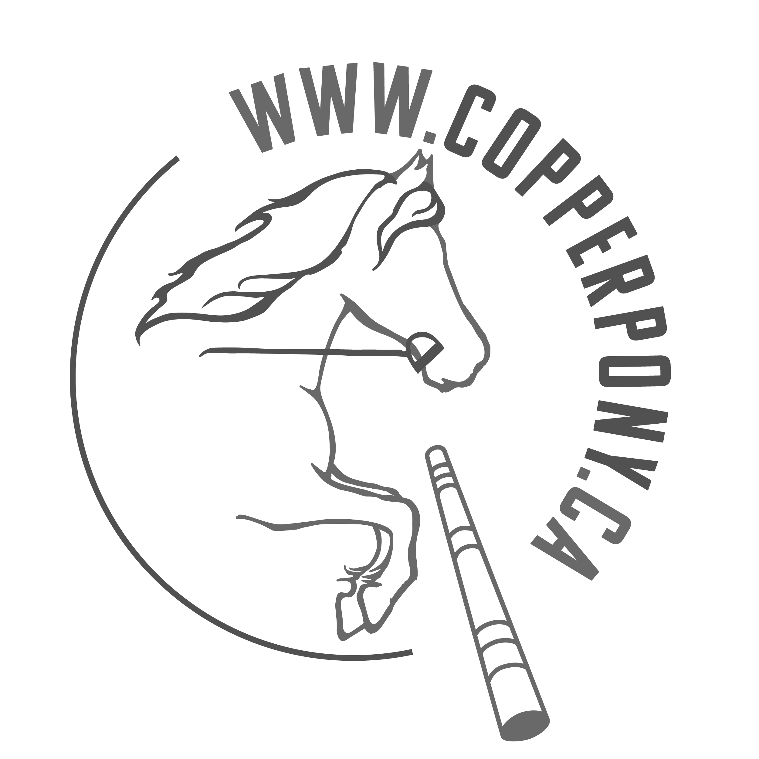 Copper Pony Poles + Equestrian Sporting Equipment